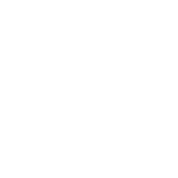 Icon: travel information