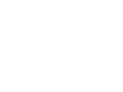 Icon: Plane
